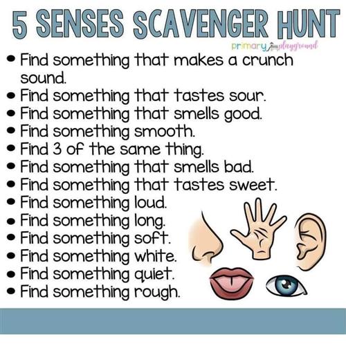 5 Senses Scavenger Hunt 